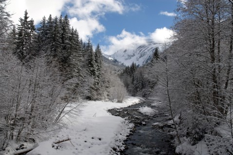 Paysage de montagne