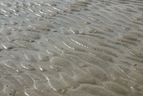 Plage à marée basse à Ronce le Bains