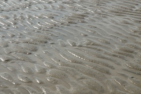 Plage à marée basse à Ronce le Bains