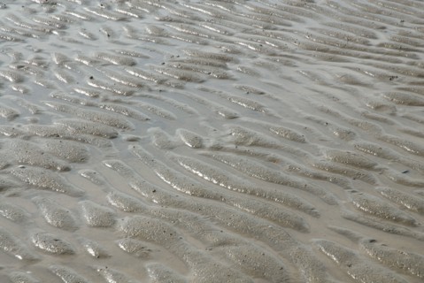 Plage à marée basse à Ronce le Bains