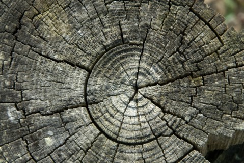 Round timber
