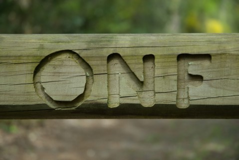 The National Forests Office logo on a barrier