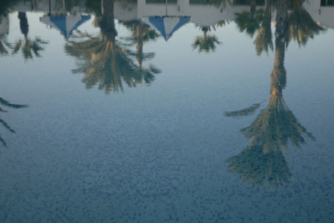 2008, palmiers, piscine, reflets palmiers eau, Tunisie