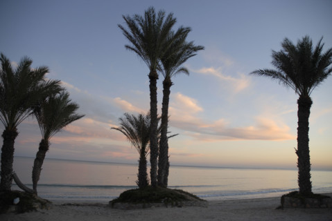 2008, coucher du soleil, palmiers, plage, soir, Tunisie