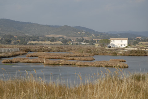 2009, Hyères, 83400, marais salant d'Hyères, paysage, maison