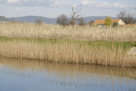 2009, Hyères, 83400, paysage, reflets  dans l'eau, vegetaux, canal