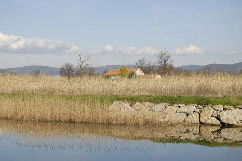 2009, Hyères, 83400, paysage, reflets  dans l'eau, vegetaux, canal