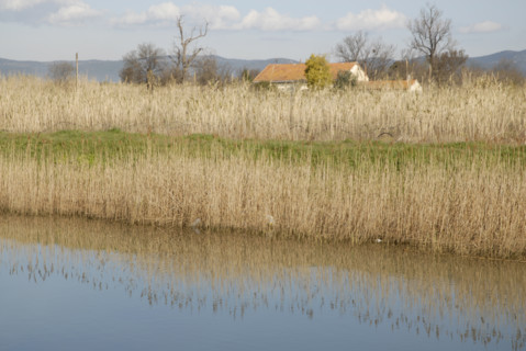 2009, Hyères, 83400, paysage, reflets  dans l'eau, vegetaux, canal