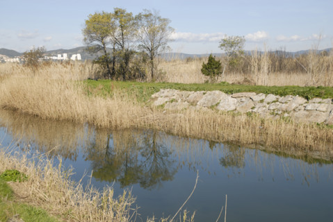 2009, Hyères, 83400, paysage, reflets  dans l'eau, vegetaux, canal