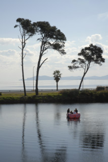 2009, Hyères, 83400, arbres, pédalo, palmiers, pin maritime, plan d'eau, reflets dans l'eau, bord