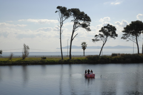 2009, Hyères, 83400, arbres, pédalo, palmiers, pin maritime, plan d'eau, reflets dans l'eau, bord