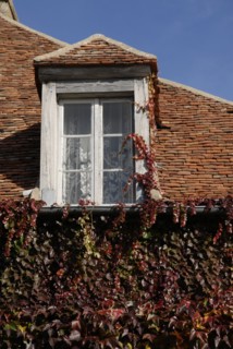 automne, Bourgogne, feuilles, Mur, octobre 2009, toit, Vezelay, vigne vierge