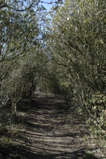 Les Sables d'Olonne