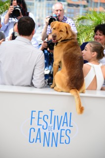 Equipe du film "Feher Isten", Festival de Cannes 2014
