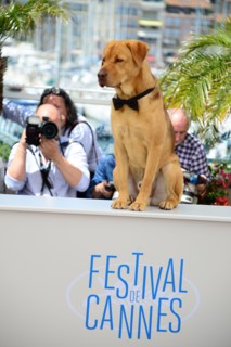 Equipe du film "Feher Isten", Festival de Cannes 2014