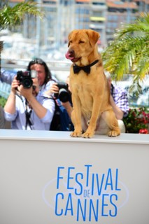 Equipe du film "Feher Isten", Festival de Cannes 2014