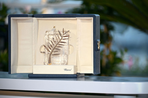 Coffret  contenant la Palme d'Or