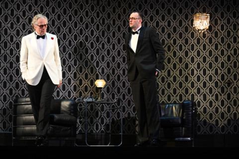 Festival d'Avignon IN 2025 : "Le canard sauvage"