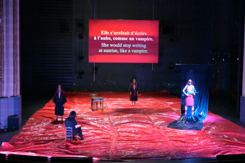 Festival d'Avignon IN 2026 : "Uma Luz Cordial"