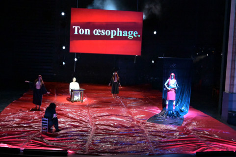 Festival d'Avignon IN 2026 : "Uma Luz Cordial"