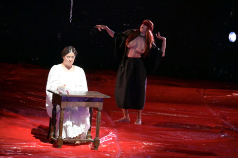 Festival d'Avignon IN 2026 : "Uma Luz Cordial"