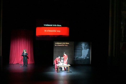 Festival d'Avignon IN 2026 : "Uma Luz Cordial"