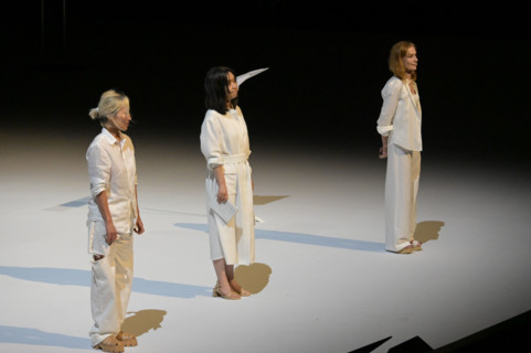 Festival d'Avignon IN 2026: 'Oiseau'