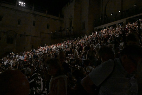 Festival d'Avignon IN 2026 : "Oiseau"