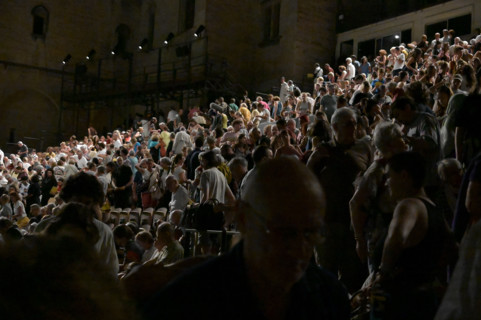Festival d'Avignon IN 2026 : "Oiseau"