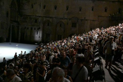 Festival d'Avignon IN 2026 : "Oiseau"