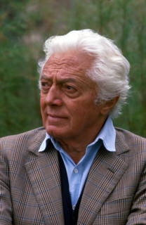 Dino Risi