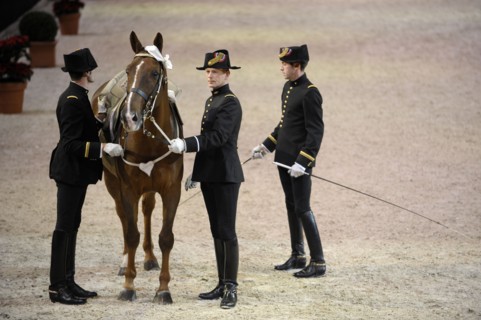 Cadre Noir de Saumur, représentation à Paris