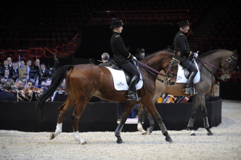 Cadre Noir de Saumur, représentation à Paris