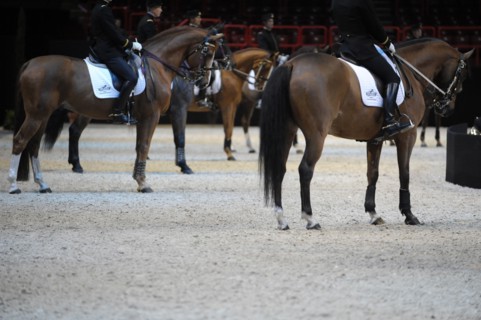 Cadre Noir de Saumur, représentation à Paris