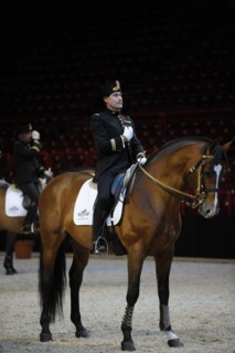 Cadre Noir de Saumur, représentation à Paris
