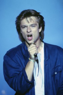 David Hallyday