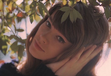 Françoise Hardy, 1963