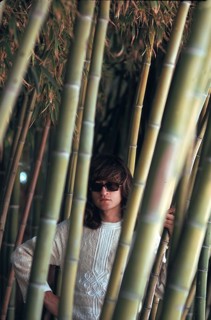 Michel Polnareff, 1971