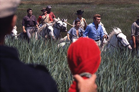 Johnny Hallyday