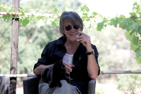 Jacques Dutronc, 2008