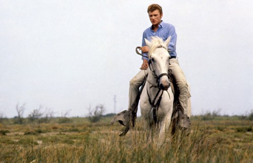 Johnny Hallyday