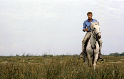 Johnny Hallyday