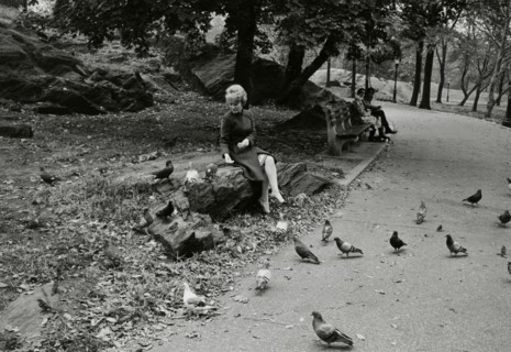 Petula Clark