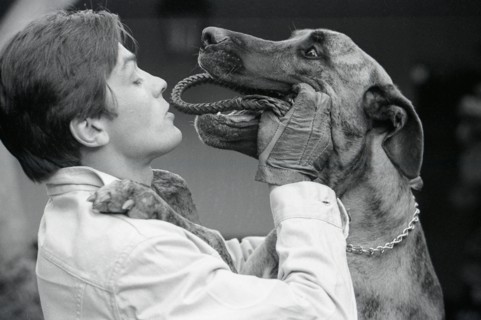 Alain Delon jouant avec son chien
