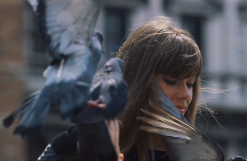 Françoise Hardy, 1963