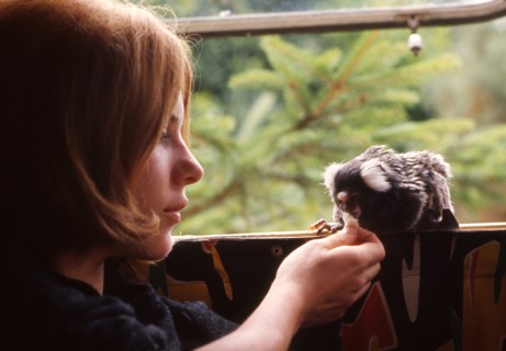 France Gall