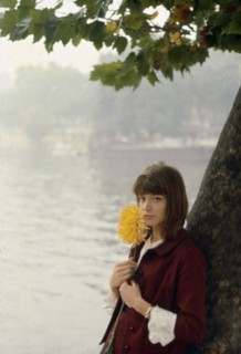 Françoise Hardy, 1962