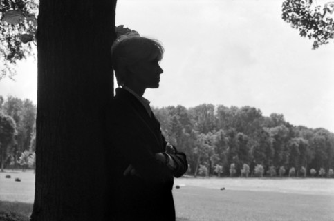 Françoise Hardy (2004)