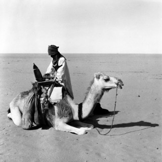 Touareg au Sahara, dans le massif du Hoggar