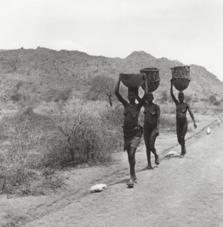 Porteuses d'eau près de Mora, dans le nord du Cameroun